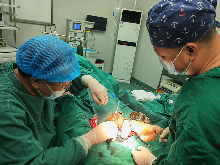 k8凯发官网(中国)天生赢家·一触即发