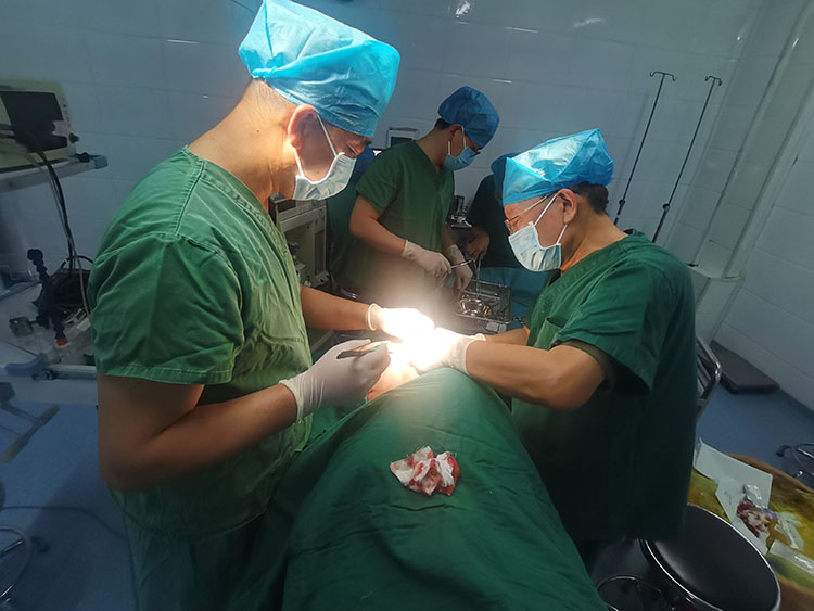 k8凯发官网(中国)天生赢家·一触即发