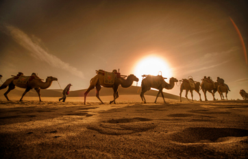 k8凯发官网国际 “一带一起”建议培训平台