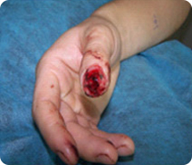 k8凯发官网(中国)天生赢家·一触即发