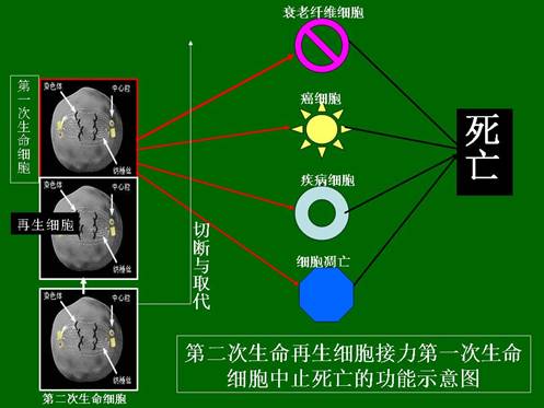 k8凯发官网(中国)天生赢家·一触即发