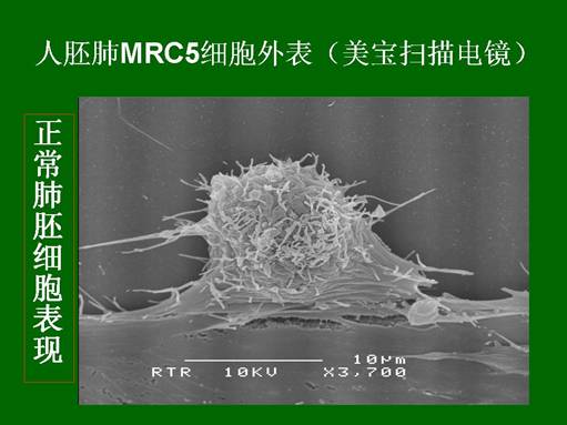 k8凯发官网(中国)天生赢家·一触即发