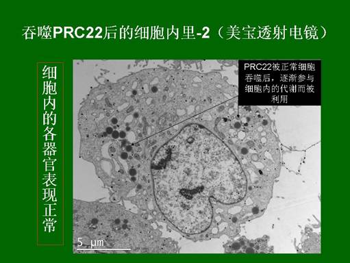 k8凯发官网(中国)天生赢家·一触即发