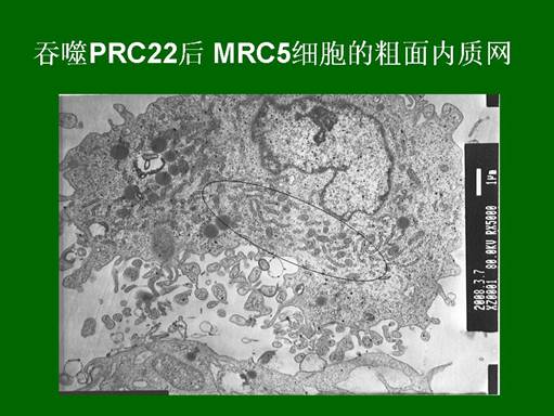 k8凯发官网(中国)天生赢家·一触即发