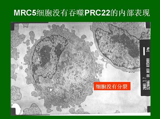 k8凯发官网(中国)天生赢家·一触即发