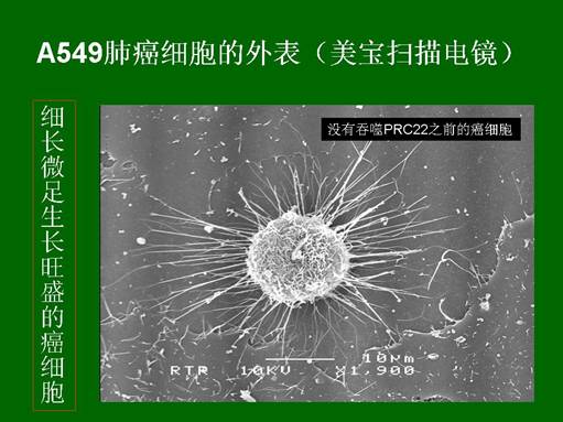 k8凯发官网(中国)天生赢家·一触即发
