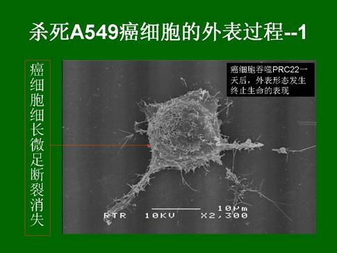 k8凯发官网(中国)天生赢家·一触即发