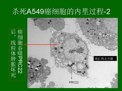 k8凯发官网(中国)天生赢家·一触即发