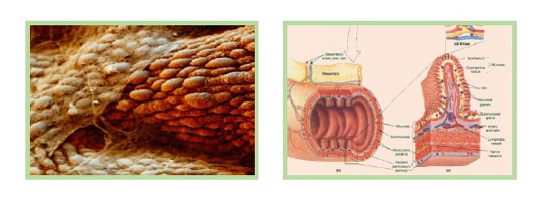 k8凯发官网(中国)天生赢家·一触即发