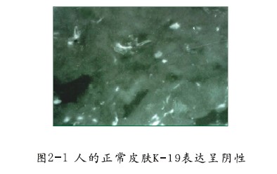 k8凯发官网(中国)天生赢家·一触即发