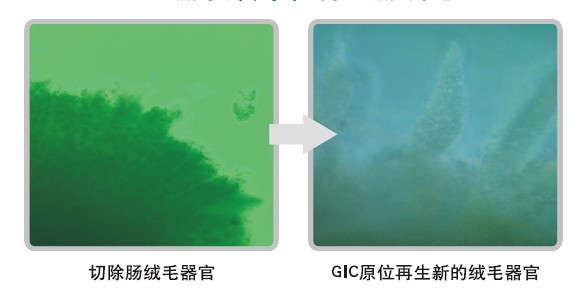 k8凯发官网(中国)天生赢家·一触即发