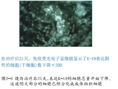 k8凯发官网(中国)天生赢家·一触即发