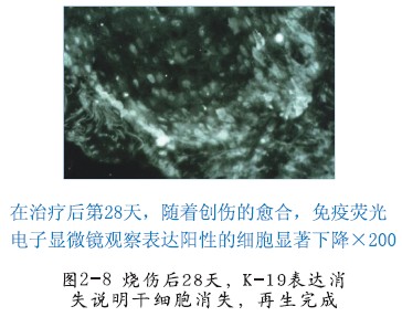 k8凯发官网(中国)天生赢家·一触即发