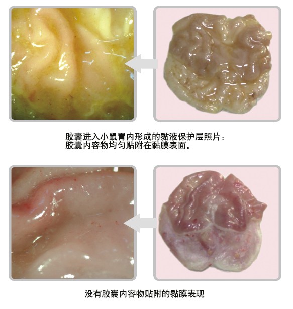 k8凯发官网(中国)天生赢家·一触即发