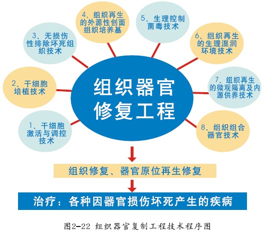 k8凯发官网(中国)天生赢家·一触即发