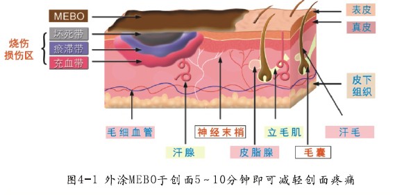 k8凯发官网(中国)天生赢家·一触即发