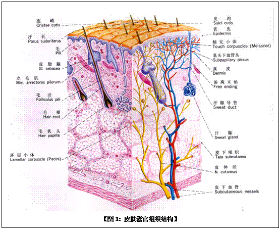 k8凯发官网(中国)天生赢家·一触即发