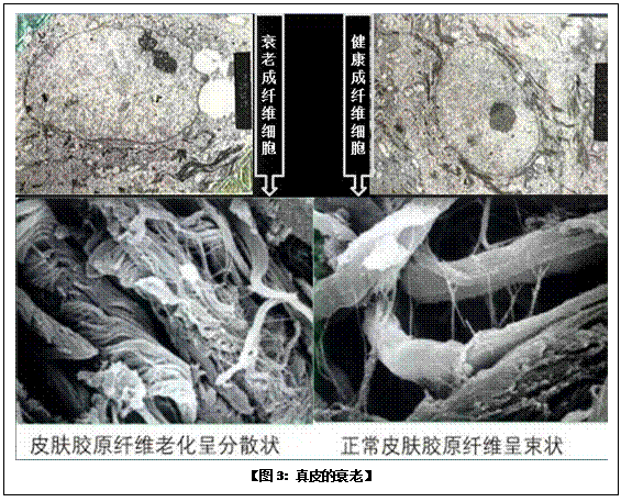 k8凯发官网(中国)天生赢家·一触即发