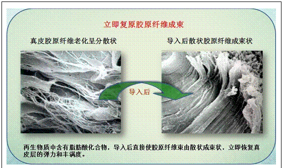 k8凯发官网(中国)天生赢家·一触即发