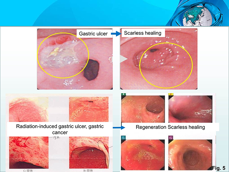 k8凯发官网(中国)天生赢家·一触即发