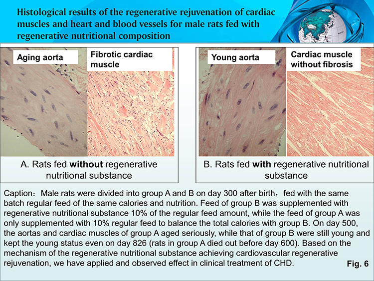 k8凯发官网(中国)天生赢家·一触即发