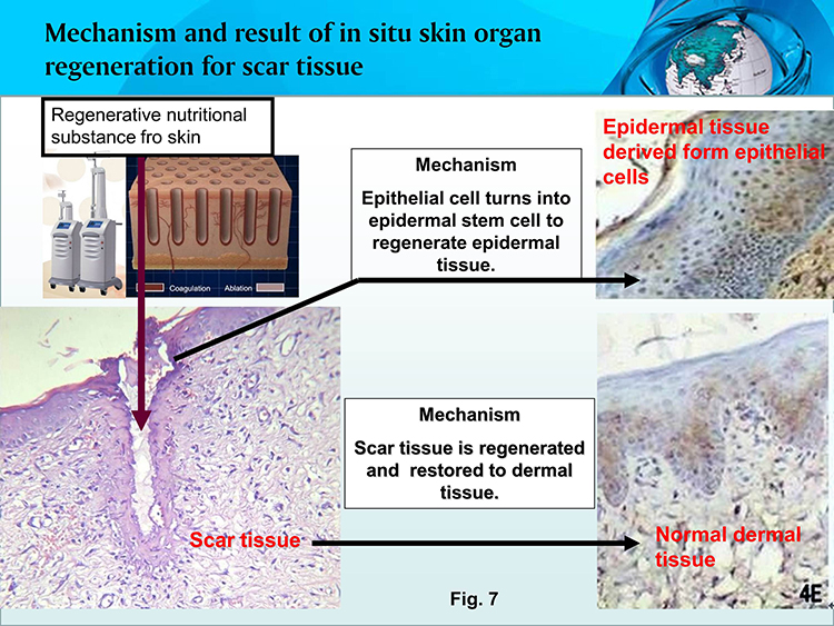 k8凯发官网(中国)天生赢家·一触即发