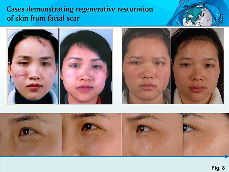 k8凯发官网(中国)天生赢家·一触即发