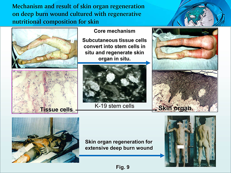 k8凯发官网(中国)天生赢家·一触即发