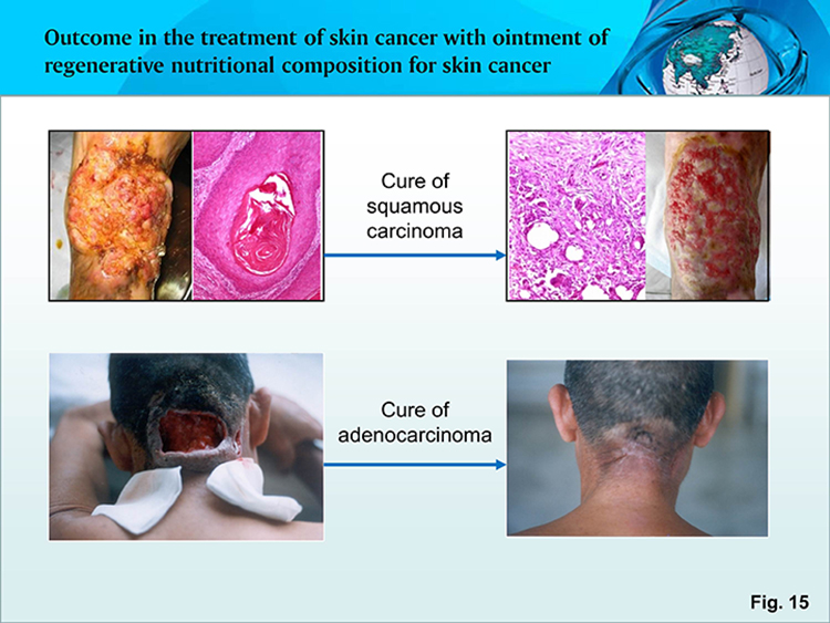 k8凯发官网(中国)天生赢家·一触即发