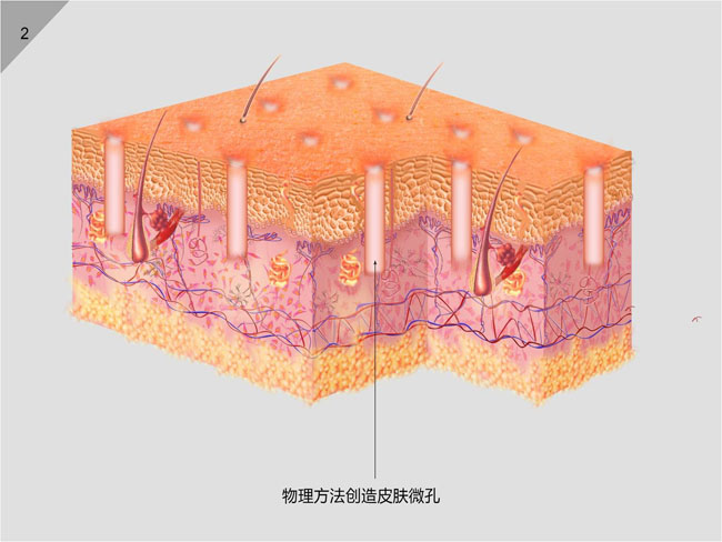 k8凯发官网(中国)天生赢家·一触即发