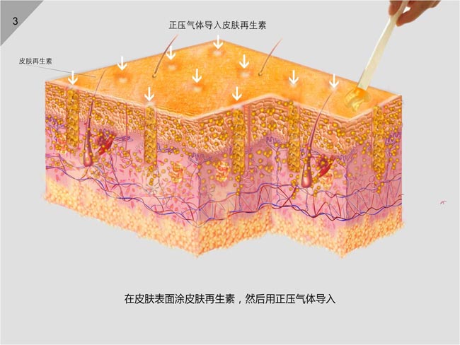 k8凯发官网(中国)天生赢家·一触即发