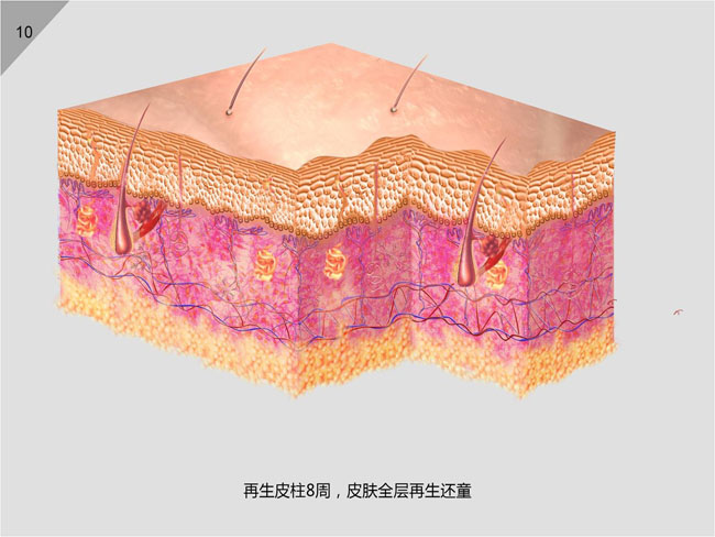 k8凯发官网(中国)天生赢家·一触即发