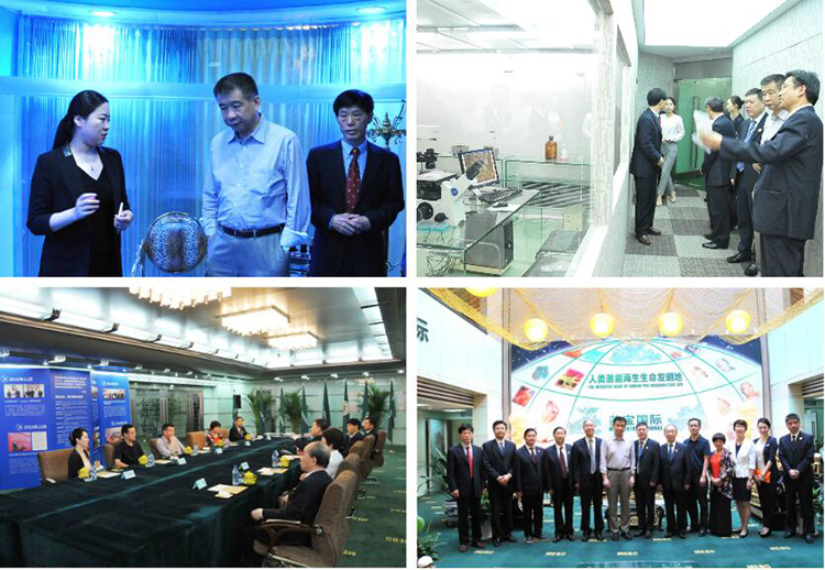 k8凯发官网(中国)天生赢家·一触即发